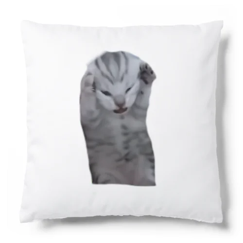 猫ミーム Cushion