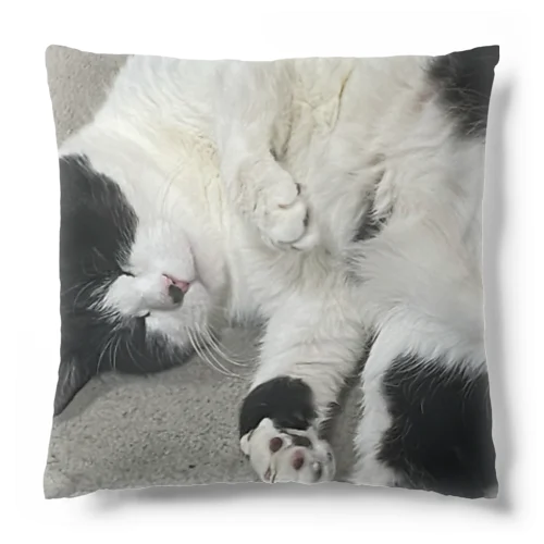 我が家の猫 Cushion