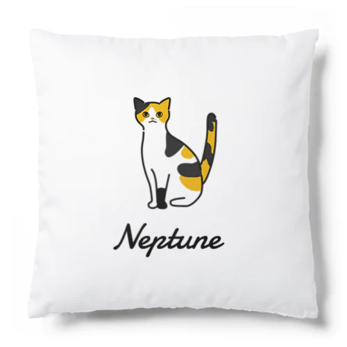 Neptune  Cushion