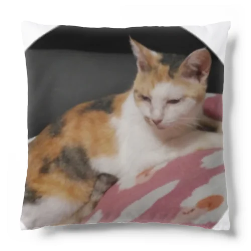 三毛猫の❄ Cushion