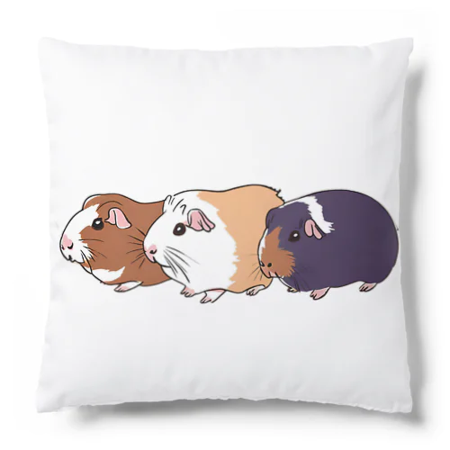 3色の個性派モルモット Cushion