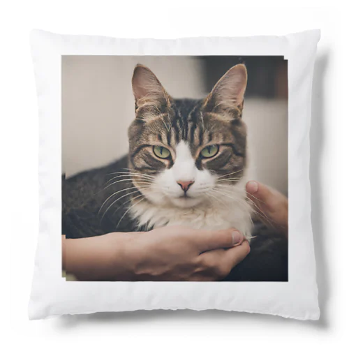 癒しの猫グッズ♪ Cushion