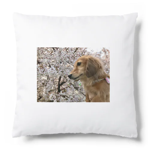 花見を満喫するちょちょさん Cushion