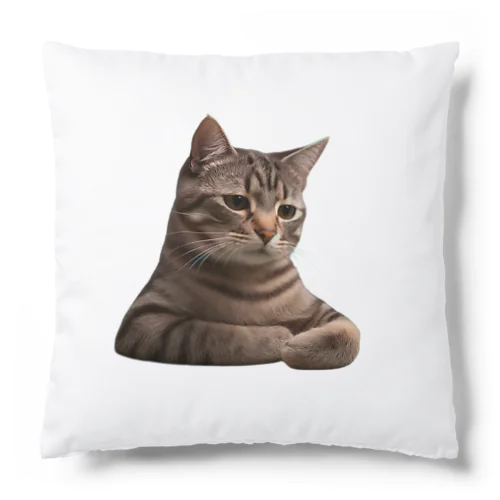 悟る猫ミーム Cushion