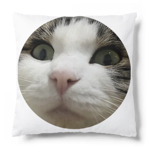 みーみーちゃんのメンチ Cushion