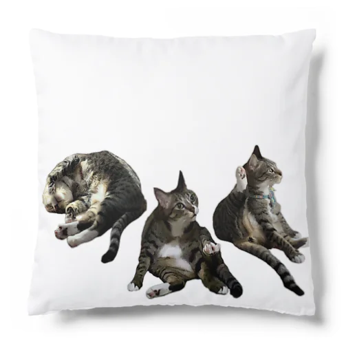 家ねこ悩殺3ポーズ Cushion