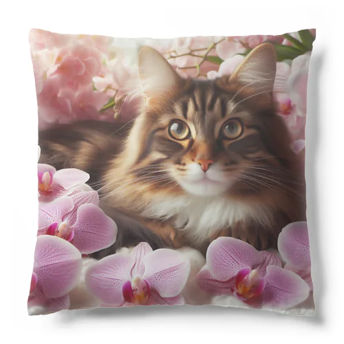 猫と胡蝶蘭 Cushion