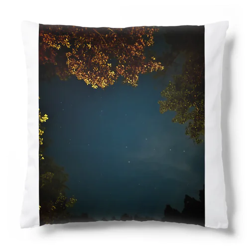 自然の星空 Cushion