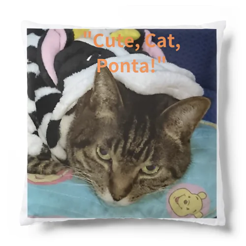 保護猫ボンタさん Cushion