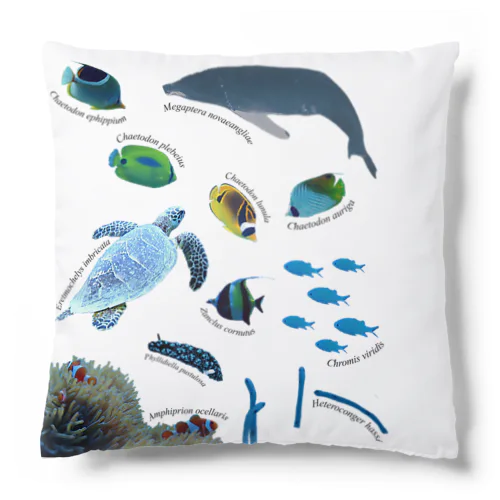 沖縄の海の生き物 Cushion