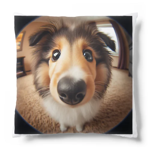 collie Cushion