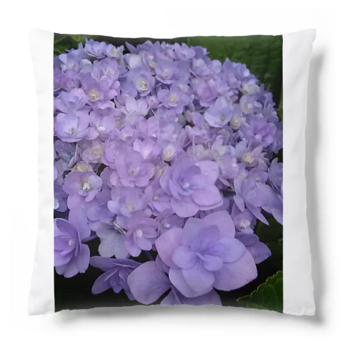紫陽花（紫） Cushion
