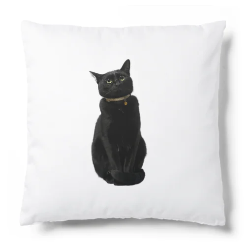 リアル黒猫マメちゃんグッズ Cushion