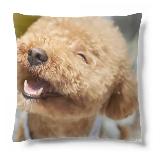 にっこにこわんわん Cushion