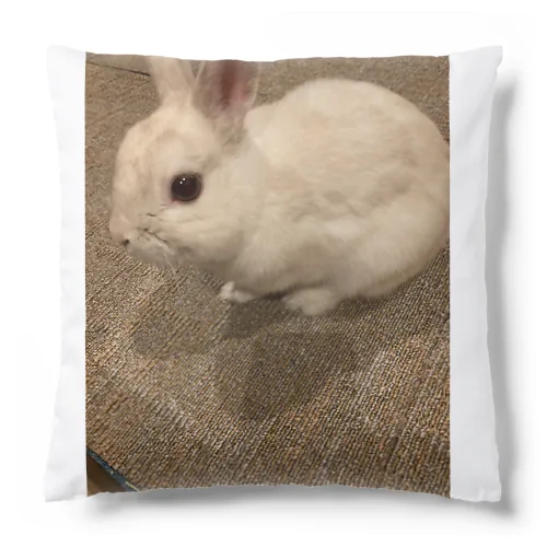 やんちゃなラッキー Cushion