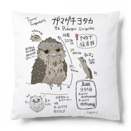 図鑑イラストシリーズ第5段『ガマグチヨタカ』 Cushion