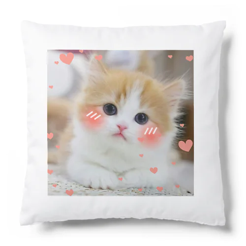 猫は神 Cushion