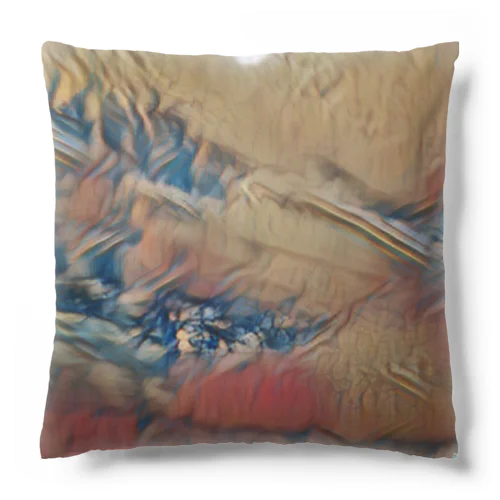 怪鳥シリーズ Cushion