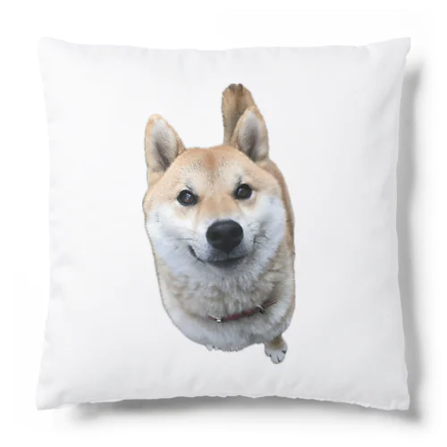 柴犬あかり Cushion