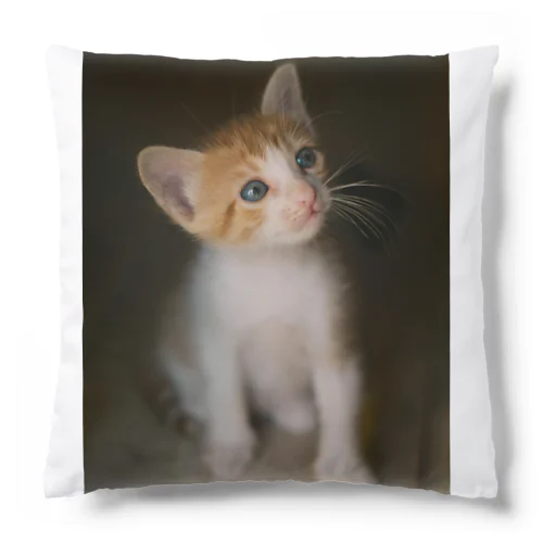 考える　猫ちゃんー Cushion