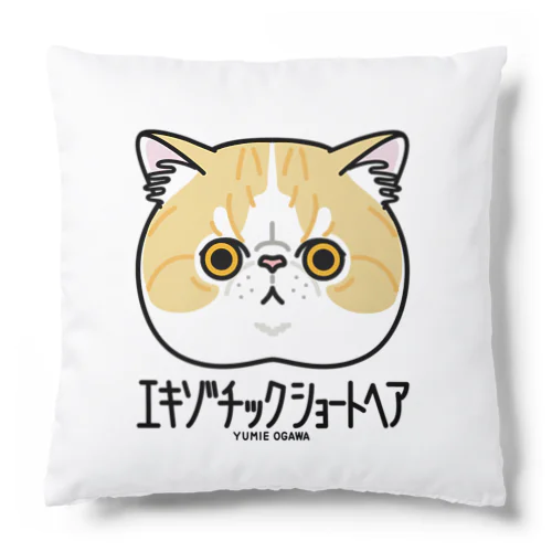 33エキゾチックショートヘア（キャラ） Cushion