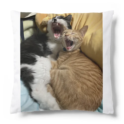 キュートな猫猫あくび Cushion