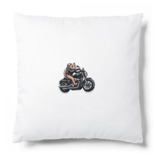 ネコライダー Cushion