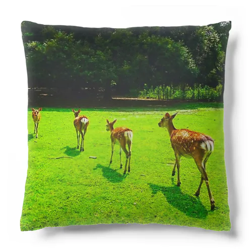 奈良公園の鹿が変える姿 Cushion