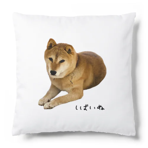 伏せ？してる柴犬さん Cushion