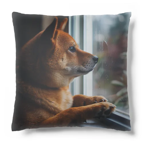 可愛い柴犬　1434 Cushion