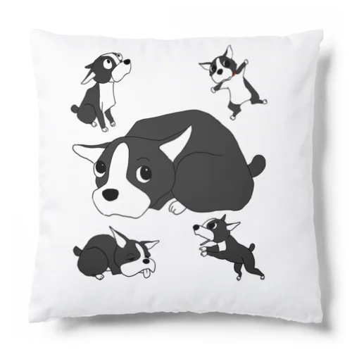 ボストンテリア　エディ君 Cushion