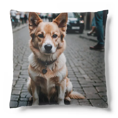 パワフルとは対照的な風貌を持つ可愛らしい犬がカメラ目線！ Cushion