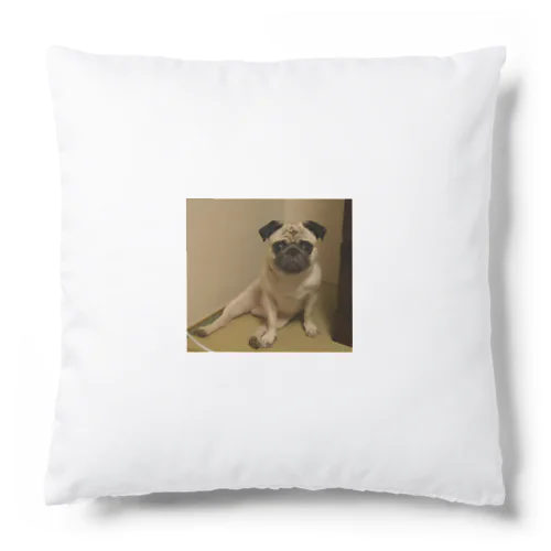 Pugのぱぐお Cushion