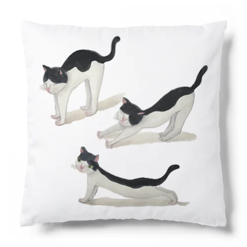 佐野早津紀　朝起きた猫 Cushion