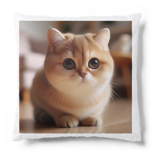 可愛いビッグアイブリティッシュグッズ Cushion