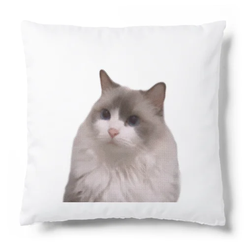 あんまなつかないミルキー Cushion