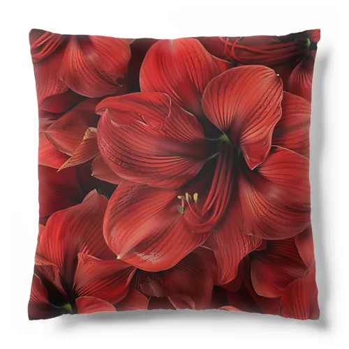 アマリリス　真っ赤な綺麗な花 Cushion