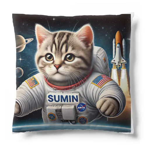 スペースCat Cushion