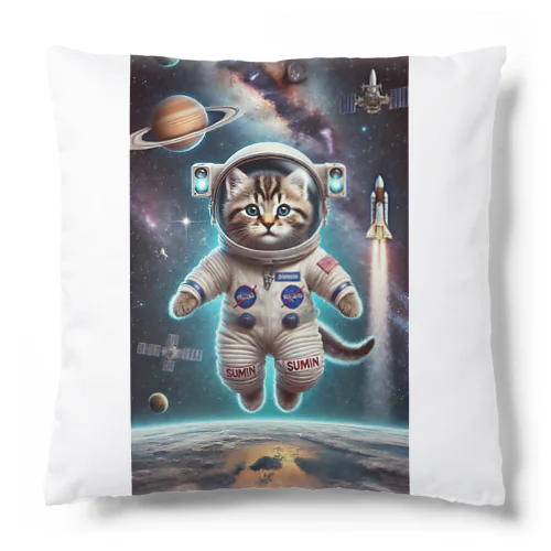 スペースCat Cushion