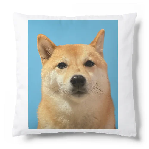 豆柴ぴょん子（７） Cushion