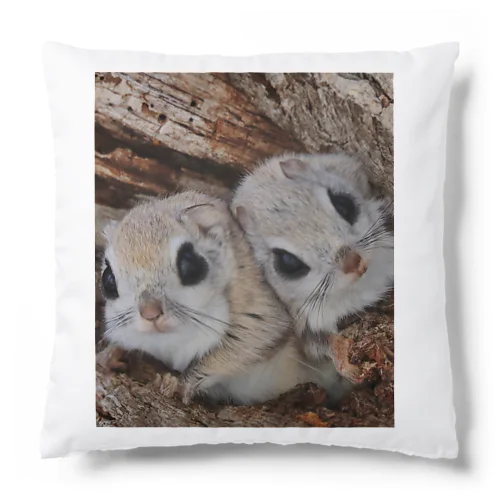 【#心とカラダの栄養に】可愛いだけじゃない Cushion