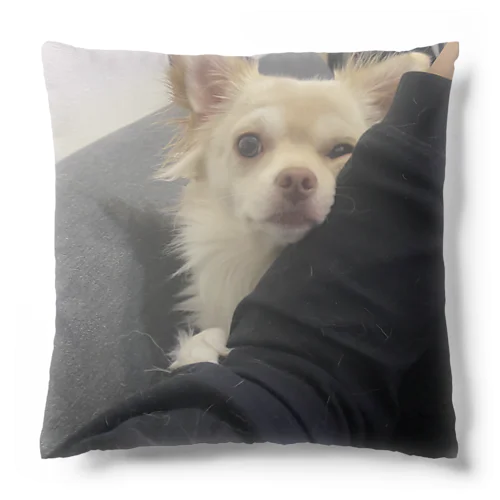 ぐいぐいくるあめ Cushion
