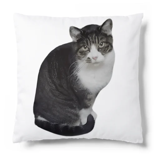なあや Cushion
