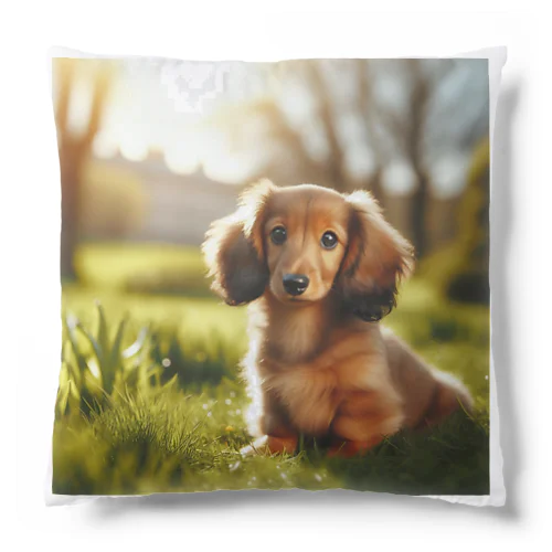 ダックスフンド Cushion
