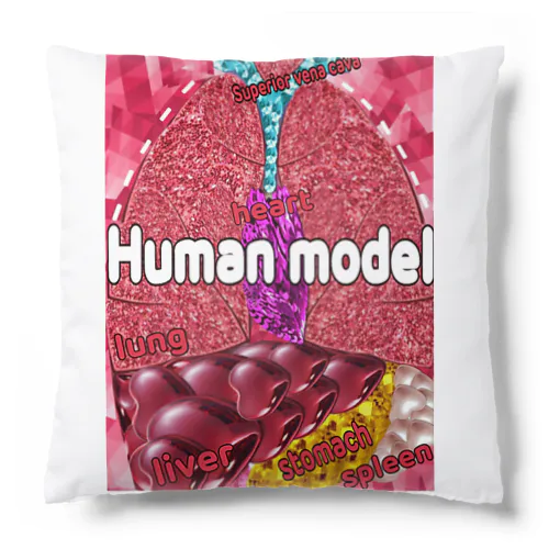 人体模型 Cushion