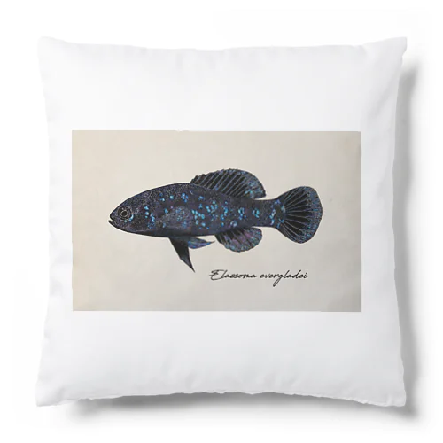 Elassoma evergladei on the paper Cushion