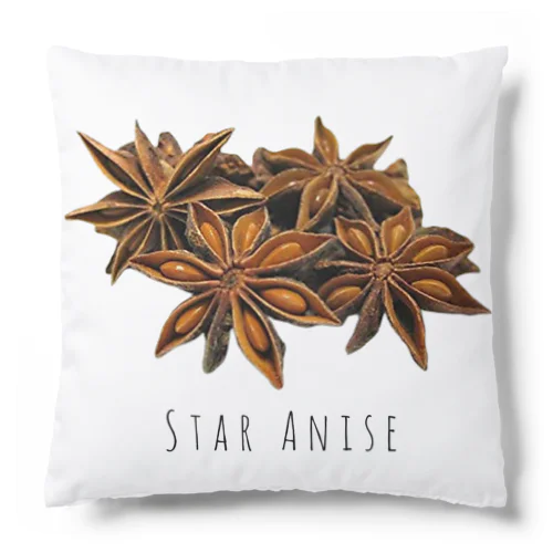 STAR ANISE クッション