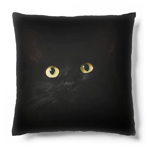 Black cat　黒猫　 Cushion