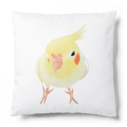 オカメインコ　おすましルチノー【まめるりはことり】 Cushion