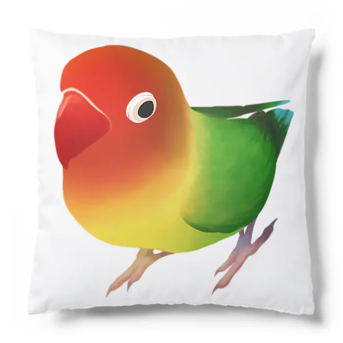 ボタンインコ　おすましルリゴシボタンインコ【まめるりはことり】 Cushion